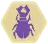 Hive beetle.png